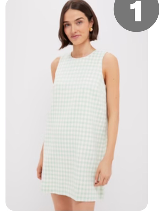 Tuckernuck Dresses & Skirts - Tuckernuck mint green & white Gingham Mini Dress green check print NEW Size L